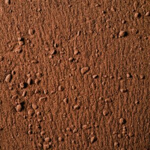 Alkalized Cocoa powder