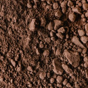 Alkalized Cocoa Powder (20–22% Fat)